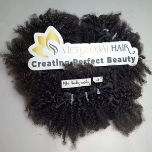 Cheveux vietnamiens Afro Kinky Curly Top Quality Double Weft Hair Bundles Super Double Drawn 100% Raw Hair Extensions - Product Image 1