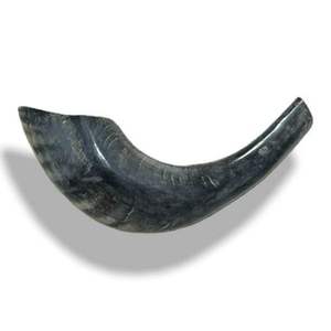 Shofar Auténtico de Cuerno de Búfalo Metálico, Ecológico, Duradero, Elaborado con Cuidado para la Cocina, el Culto, Reuniones Espirituales y Festivales - Product Image 1