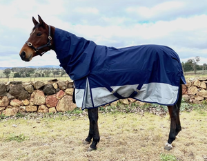 Tapis de participation équin de cheval personnalisable de haute qualité imperméable respirant couverture de cheval Nylon Ripstop produit équestre - Product Image 6
