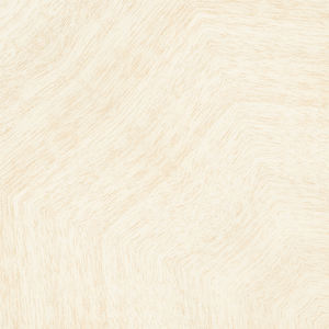 ชุดกระเบื้องเคลือบเงาเซรามิกเคลือบงาช้างอินเดียที่ทันสมัย600x600 600x1200คุณภาพเยี่ยมพื้นไม้ผู้ผลิตห้องน้ำ - Product Image 2