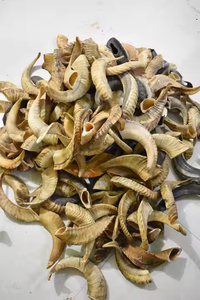 เขาแกะขัดเงาธรรมชาติ ทรงสัตว์ สำหรับงานรอช ฮาชาแนห์ โดย ซานียา แฮนดิคราฟต์ - Product Image 5