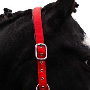 En gros, Nouvelle Tendance : Licol pour Cheval en Nylon Robuste pour Usage Quotidien, avec Option Cuir Véritable, Rembourré et Ajustable - Product Image 4