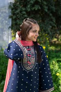 Magnifique Salwar Kameez Traditionnel pour Filles Pakistanaises, Tenue de Fête, Tissu Acrylique, Anti-humidité, Haute Qualité, Festif - Product Image 4