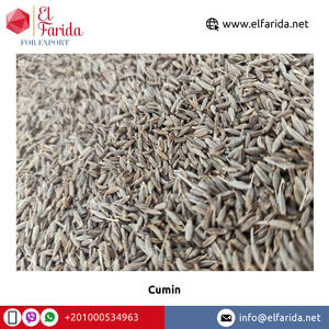 Venta caliente Premium Comino egipcio Mejor calidad Especias individuales Hierbas secas Precio bajo Fabricación directa al por mayor Procesamiento en bruto - Product Image 6
