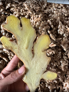 ขิงสดจากเวียดนามพร้อมผักขิงสดขนาดใหญ่ - Product Image 5