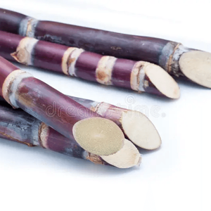 Caña de azúcar roja de caña de azúcar púrpura de ALTA CALIDAD para exportación 100% Proveedor de reputación natural Hecho en Vietnam - Product Image 1