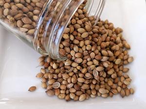 Graines de coriandre entières de haute qualité-Graines de coriandre à vendre - Product Image 6