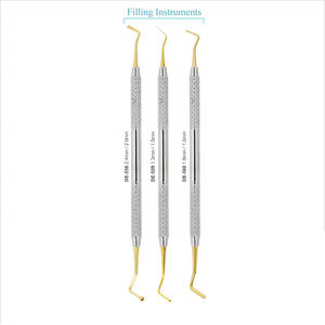 Ensemble de 6 instruments de remplissage dentaire en composite, kit de restauration en acier inoxydable pour les procédures dentaires, instruments de remplissage dentaire - Product Image 2