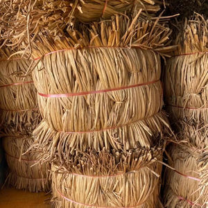 Vente en gros au Vietnam de jacinthe d'eau séchée de haute qualité/Exportation de grandes quantités de jacinthe d'eau séchée traditionnelle à bon prix - Product Image 1