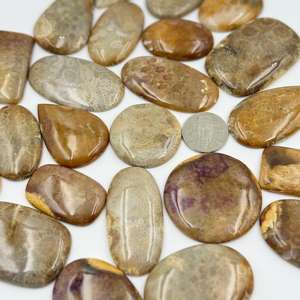 AAA + alta calidad 100% cabujón de Coral fósil Natural piedra preciosa suelta para la fabricación de joyas verde con suministro de lote de tamaño personalizable - Product Image 2