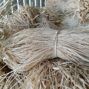 Feuilles de palmier séchées naturelles Corypha Lecomtei Matière première du Vietnam pour l'artisanat, la fabrication de papier écologique et l'utilisation décorative - Product Image 5