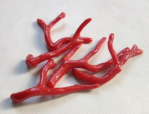 Palo de coral rojo italiano natural genuino, palo pulido de coral rojo italiano natural 100%. Palo Coral Brillante Pulido, Palo Coral - Product Image 5