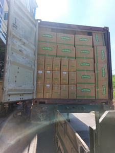 Fideos Vermicelli Secos de Fábrica, Importación/Exportación, 85% Almidón de Tapioca, 15% Agua Limpia, Venta al por Mayor, Grado Superior, 400gr, Bolsa de Fideos de Arroz Secos - Product Image 6