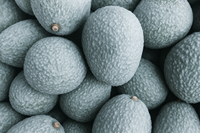 Speciale Aanbieding Premium Kwaliteit Smakelijk Fruit Beste Prijs Romige Hele Bevroren Avocado 1Kg