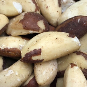 Mejor Precio en Nueces de Brasil Naturales, Crudas, Sin Cáscara, Tamaños Mediano, Grande y Extra Grande, Entrega Rápida, En Stock, Compra al Por Mayor - Product Image 4