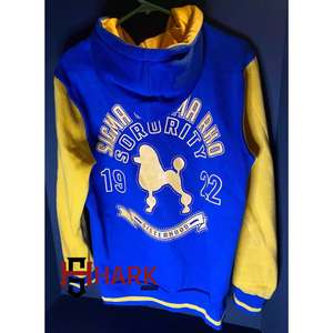 Dernière conception 2025 sweat à capuche personnalisé Sigma Gamma Rho sororité et fraternité pour femmes fabricant de sweats à capuche de marque privée - Product Image 4