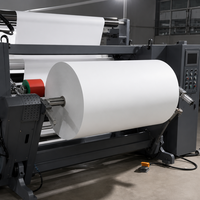 Rollo Jumbo de Papel Térmico de Alto Contraste, Libre de BPA, de 45gsm, 55gsm, 70gsm, para Exportación, Estándar, de Alta Resistencia y Empaquetado