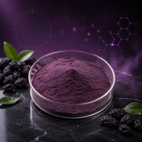 Zwarte Goji-sappoeder, bulk zwarte Goji-bessensappoeder anthocyanen, populaire zwarte Goji-bessenextract