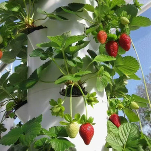 Sistema Hidropónico Comercial de 9 Niveles y 36 Orificios para Cultivo Interior con Luz LED para el Hogar - Product Image 5