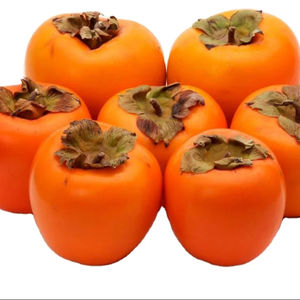 Meilleure vente de kaki séché de haute qualité au Vietnam/Laura - Product Image 1