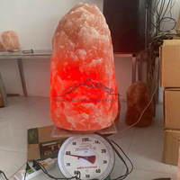 Lampe de sel de l'Himalaya JOBAK extra large 75-125 kg, style Feng Shui, sculptée à la main, qualité supérieure, purificateur d'air, toucher réel, livraison rapide