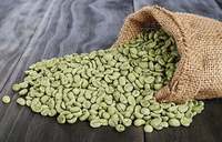 Grains de café vert Robusta biologique S18 de haute qualité, export direct de l'usine TNFOOD du Vietnam