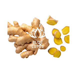 JENGIBRE FRESCO AL POR MAYOR, JENGIBRE DE RAÍZ VEGETAL, JENGIBRE, PRECIO BARATO, EMBALAJE EN CARTÓN DE LOTO AZUL, VIETNAM MS.CHERISH - Product Image 1