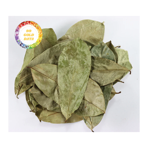 Graviola (Corossol) 100% biologique séchée naturellement au meilleur prix, fabriquée au Vietnam - Product Image 1