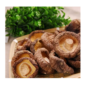 Champignons shiitake séchés en promotion - Product Image 4
