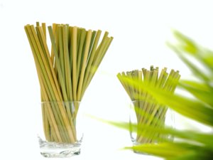 Pajitas de hierba de Vietnam | Pajitas de fibra de bambú biodegradables | Pajitas ecológicas para beber al por mayor - Product Image 5