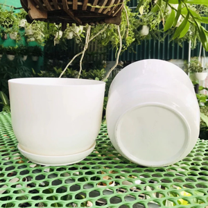 Pots en plastique PP blanc de Pavico, vente en gros, taille personnalisée, combo, forme ronde avec plateau, conception personnalisée acceptée - Product Image 4