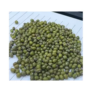 Best Seller highest quality Green Mung Beans supplier/direct exporter Viet Nam Origin