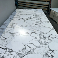 Panneaux en PVC marbré haute brillance modernes avec design imprimé en 3D pour la décoration murale intérieure résidentielle, imperméables et ignifuges