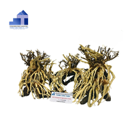Produit chaud fait à la main bonsaï acuario bonsaï bonsaï arbre aquarium pour Apporte la nature dans votre espace de vie Fabriqué au Vietnam