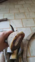Bonne qualité personnalisée à vendre en vrac corne de buffle et pointe de corne de boeuf et pointe de corne de buffle à vendre au prix par HAND MADE CRAFT