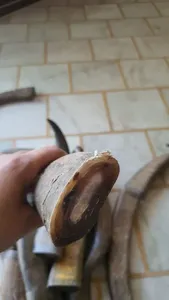 Buena calidad personalizado para la venta a granel cuerno de búfalo y Punta de cuerno buey y Punta de cuerno de búfalo para la venta a precio por artesanía hecha a mano - Product Image 4
