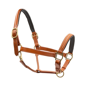 Harnais souple et résistant pour chevaux, design en nylon réglable, boucles confortables pour l'entraînement et le contrôle en équitation. - Product Image 5