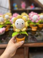 Penjualan laris 2025 pot bunga aster Crochet buatan tangan cantik hadiah Festival Dekorasi Rumah hadiah bunga rajut hadiah Crochet bunga