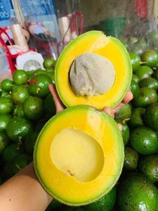 BOOTH D'AVOCADO FROZEN PREMIUM HASS CUBES EMBALLAGE À DEMI-EMBALLAGE DANS UN SAC SOUS-VIDE DE BLUE LOTUS FARM VIETNAM - Product Image 4