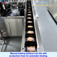 Machine d'emballage automatique de petites boîtes, machine d'emballage de sachets de savon, de dentifrice, de boîtes en carton, machine de mise en carton de bonbons gélifiés
