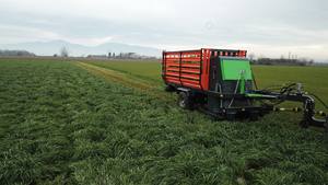Haute productivité Sayginlar Green Grass Harvester Machine nouvelle condition pompe à moteur portant le noyau transportant des caractéristiques de distribution - Product Image 6