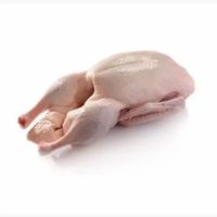 Pollo congelado empacado para satisfacer la demanda mayorista de cadenas de restaurantes y distribuidores de importación global Oferta especial