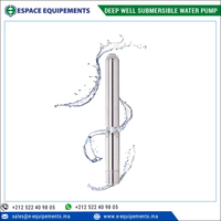 Fabricant leader de pompes à eau submersibles pour puits profonds de 4 pouces pour l'irrigation légère et l'approvisionnement en eau résidentielle