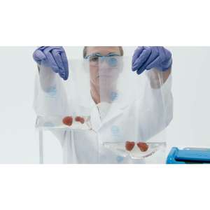 ถุง Seward Stomacher EVO Eco ขนาด 155x200 มม. ขนาดเล็กลง 30% สำหรับอุปกรณ์ห้องปฏิบัติการและการใช้งานในห้องปฏิบัติการ - Product Image 3