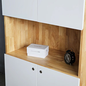 2-Door Rubber Wood <b>Metal</b> File <b>Cabinet</b> 80x40x220cm <b>Lockable</b> & Adjustable Modern Minimalist Design for Workshops THS68011 - Product Image 4
