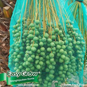 Trái Cây Bìa Chất Lượng Tốt PP Không Dệt Vải Chống UV Phụ Gia Bảo Vệ Rau Quả Nhà Máy Tùy Chỉnh Màu Sắc Biểu Tượng Trái Cây Bao Gồm - Product Image 2