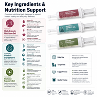 Gel de soutien anti-boules de poils pour chats OEM, pâte énergétique hypercalorique pour chiens, multivitamines, soutien immunitaire, seringue doseuse 60 ml, personnalisable