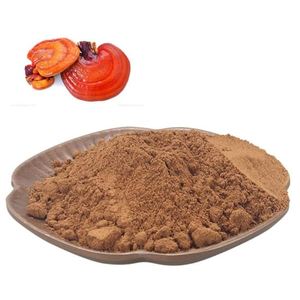 Extracto de Reishi en Polvo, Suplemento Natural para el Apoyo Inmunológico y del Sueño, con Antioxidantes para la Energía, Vitalidad y Bienestar General - Product Image 6