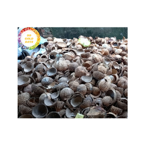 Cáscara de coco cáscara de coco dura de alta calidad de Vietnam ampliamente utilizada para carbón activado y suministro industrial - Product Image 2