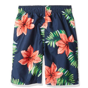 Short de bain décontracté pour hommes chauds respirant séchage rapide imperméable maillots de bain écologiques vêtements de plage athlétiques concepteur de vente chaude - Product Image 6